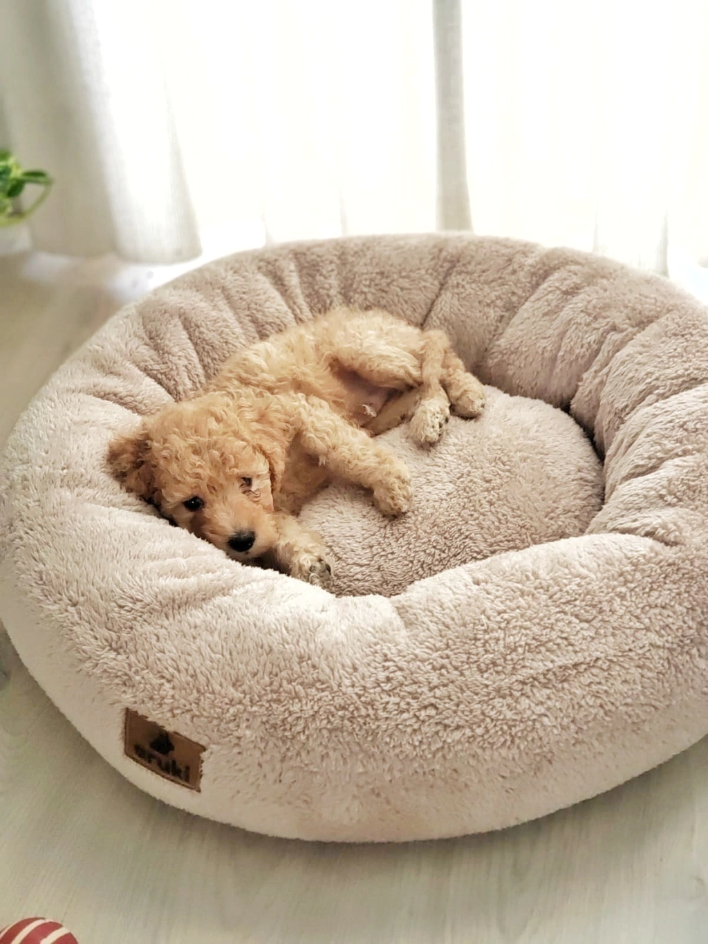 Puff Corderito Soft Beige