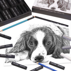 Set 24 Pasteles Carbonilla Dibujo Boceto Kalour Stick Estuch - comprar online