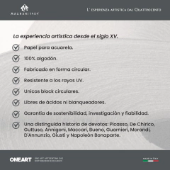 Block Dibujo Magnani Annigoni Liso 250g 35x45 25h - ARTISTICA ONE ART