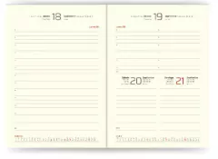 AGENDA 2025 DIARIA 14X20 TALBOT COSIDA POSITANO GRIS - comprar online