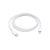 CABLE ORIGINAL APPLE USB-C a LIGHTNING en internet