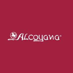 Repasadores Geometric Alcoyana 100% ALGODÓN TF en internet