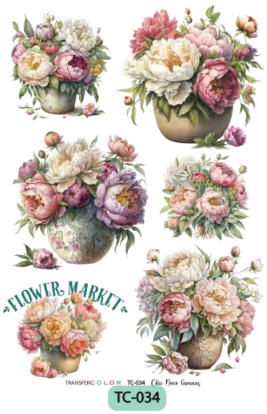 TransferCOLOR A4 TC 034 - comprar online