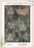 Lamina Folex Colibries color Gold Rose - Romina Guerra