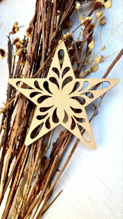 Estrella Calada Hojas