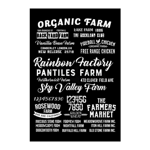 Lamina Folex de transferencia Cod. 009 Koki