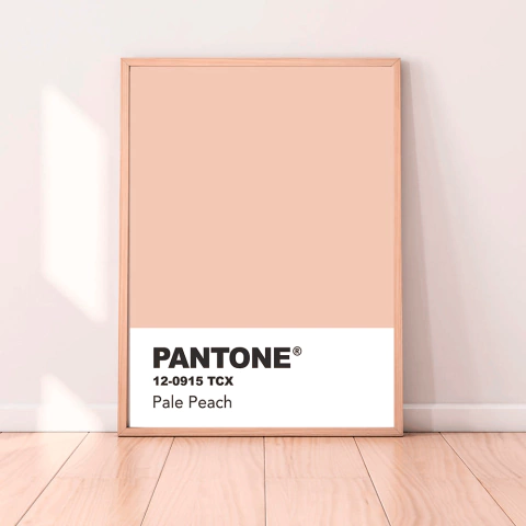 CUADRO PANTONE PALE PEACH