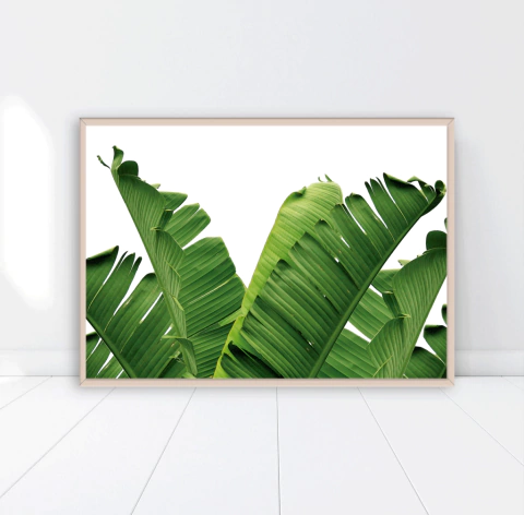 CUADRO HOJAS DE BANANO HORIZONTAL