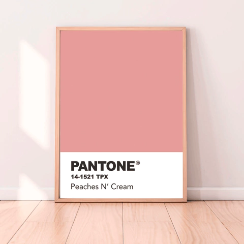 CUADRO PANTONE PEACHES N' CREAM