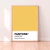 CUADRO PANTONE SPICY MUSTARD