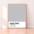 CUADRO PANTONE GLACIER GREY