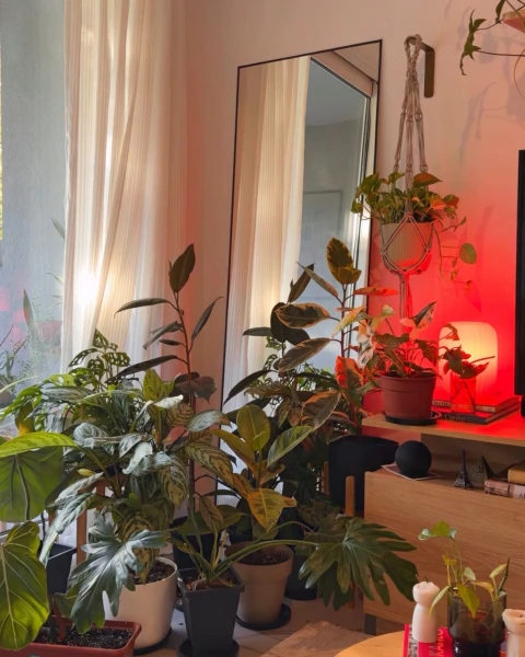 CUELGA PLANTAS MARGARITA
