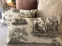 Almohadón estampado en internet