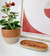 Cachepot Artsy - comprar online
