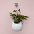 Cachepot Suspenso Ninho - comprar online