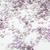Imagen de Flatbacks Preciosa N°5 (50 unidades)