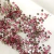 Flatbacks Nø8 (50 unidades) - Blühend Crystals