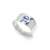 Anillo Terra en internet