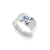 Anillo Terra en internet