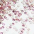 Flatbacks Preciosa N°10 (50 unidades) - Blühend Crystals