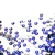 Flatbacks Preciosa N° 12 (50 unidades) - tienda online