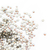 Imagen de Flatbacks Preciosa N°7 (50 unidades)