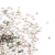 Imagen de Flatbacks Preciosa N°7 (50 unidades)