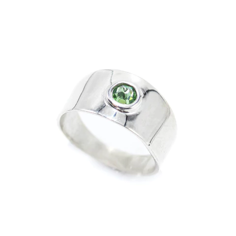Imagen de Anillo Terra