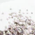 Imagen de Flatbacks Preciosa N°7 (50 unidades)