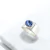 Anillo Breeze en internet