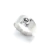 Anillo Terra