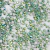 Flatbacks Preciosa N°9 (50 unidades) en internet