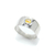 Anillo Terra en internet