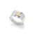 Anillo Terra en internet