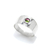 Anillo Terra en internet