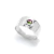 Anillo Terra en internet