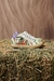 ZAPATILLA UMMA VERDE# - comprar online