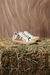 ZAPATILLA UMMA VERDE# en internet