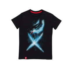 Remera de Niños Pokemon Charizard 3 El Danzante