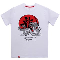 Remera Hombre La magia del Dragn El Danzante