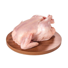 Frango Resfriado Ki Frango Kg - comprar online