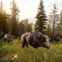 WAY OF THE HUNTER 2 PS5 DIGITAL PRIMARIA en internet