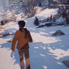 LIFE IS STRANGE 2 TEMPORADA COMPLETA PS4 DIGITAL PRIMARIA en internet