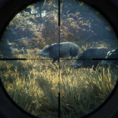 THE HUNTER CALL OF THE WILD PS4 DIGITAL SECUNDARIA en internet