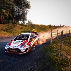 WRC 9 PS4 DIGITAL PRIMARIA - FluoGames