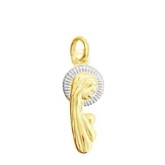 Pingente N.S. Silêncio Folheado Ouro e Ródio 1,9cm - P147-DR na internet