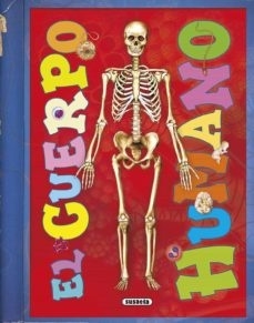 EL CUERPO HUMANO TRANSVISIONES