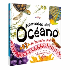 ANIMALES DEL OCEANO