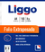 Folios A4 Liggo Cristal Borde Blanco Polip.70 Mic extrapesados Paq.x100