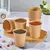 Vaso De Polipapel Stendy 6 Onzas Kraft Calidad Superior en internet